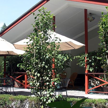 Cielito Sur Bed & Breakfast Inn Серро-Пунта Экстерьер фото
